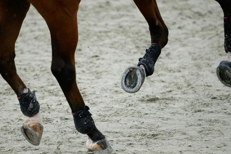 Auch Reitverband in Finanznot: 