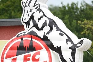 Köln plant Quarantäne-Trainingslager schon "im Laufe der Woche"