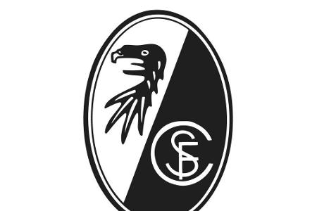 Freiburger Stadion: VGH entscheidet neu über Lärmschutz