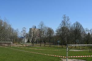 Von Linke bis Union: Sportpolitiker fordern breite Lockerungen im Sport