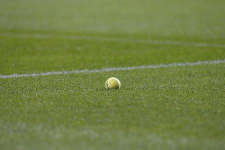 Wegen häuslicher Gewalt: Tennisprofi Bassilaschwili vor Gericht