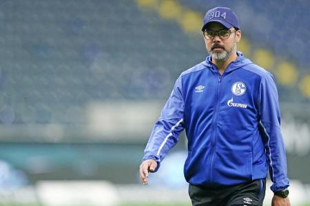 Schalke-Trainer Wagner kündigt umfassende Analyse an