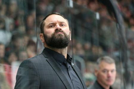 Trainer Kleinendorst verlässt Nürnberg Ice Tigers