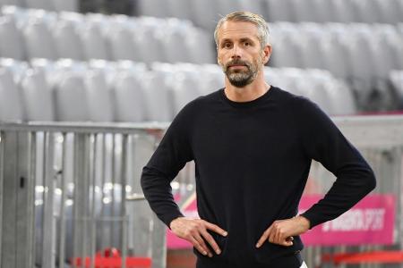 Marco Rose erotischster Bundesliga-Trainer