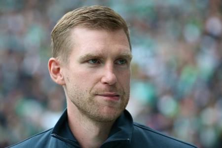 ZDF-Experte Mertesacker: DFB-Debüt am Donnerstag