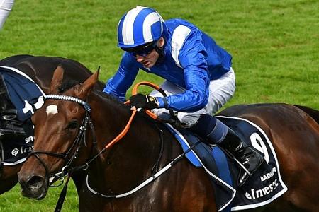 Galopp: He Knows No Fear schreibt Geschichte