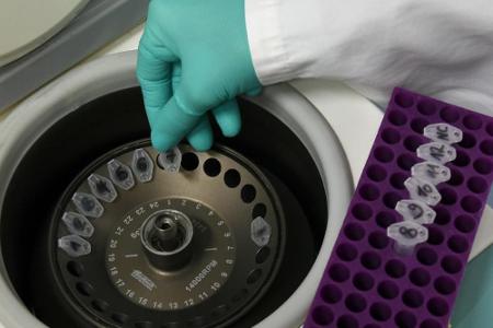 Champions League: Regelmäßige Coronatests bei Finalturnier auch für UEFA-Boss Ceferin