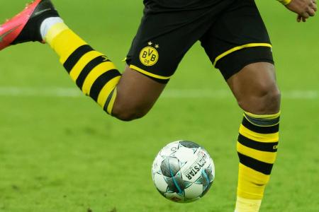 National: 73,34 Mio. Euro | International: 21,61 Mio. Euro