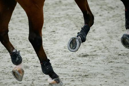 Blum wieder mit Alice im Parcours: 