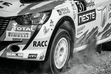 21 Jahre alte Co-Pilotin stirbt: Tragischer Rallye-Unfall in Portugal