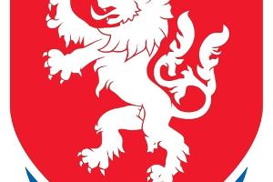 Tschechien: Razzia wegen Spielmanipulation auch beim Fußballverband