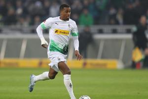 Rose plant in Mailand wieder mit Plea