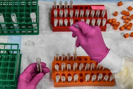 DFL und DFB investieren im siebenstelligen Bereich in Coronastudien