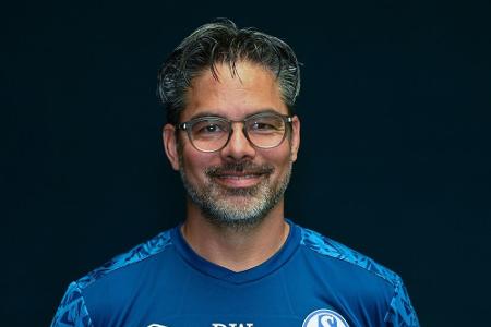Schalke-Coach Wagner: 