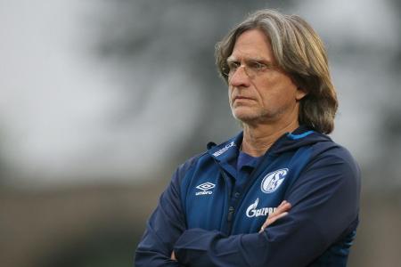 Schalke: U19-Trainer Elgert steht als Interimscoach nicht zur Verfügung
