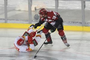 Haie-Boss Walter: "Unser Geschäftsmodell wird gerade verboten"