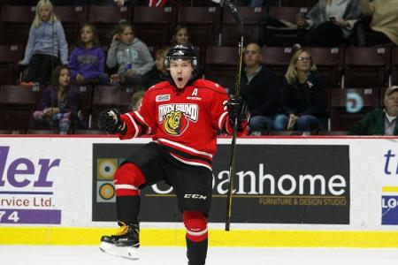 DEL: Ingolstadt verpflichtet Finnen Palmu