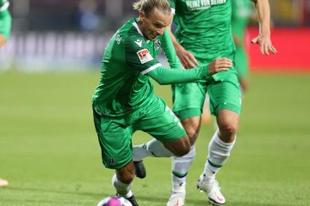 Hannoveraner Hult mit 15 Stichen am Ohr genäht