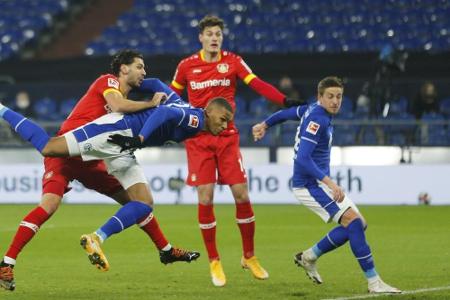 Bayer entschuldigt sich für missglückten Tweet