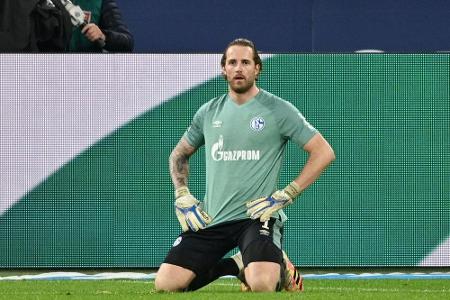Wieder kein Sieg: Schalke nähert sich Tasmania-Marke - Baum mit Negativrekord
