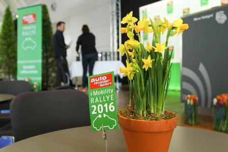 i-Mobility Rallye 2016, Siegerehrung