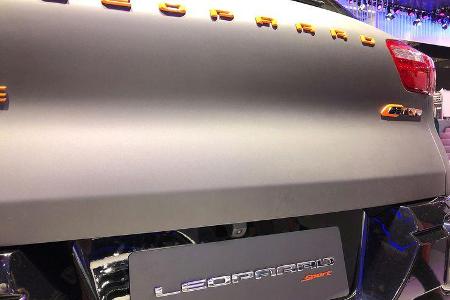 Tops und Flops Peking 2050