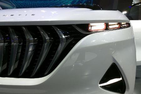 Tops und Flops Peking 2087