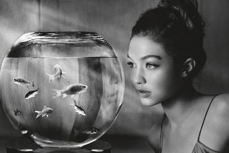 Pirelli Kalender 2019