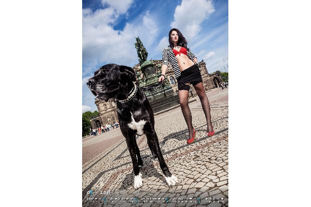 studentinnen kalender dresden geist ist geil