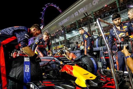 Max Verstappen - Red Bull - Formel 1