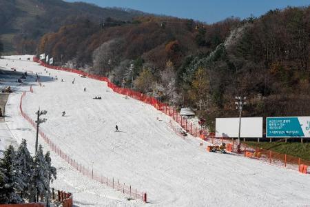 Skicrosser Wilmsmann: Nach WM-Frust zum ersten Weltcupsieg