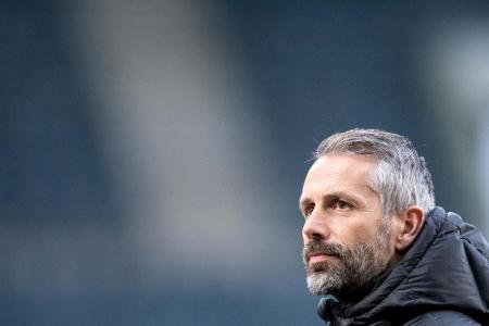 Von Marsch bis Favre: Sieben Trainer-Kandidaten für Gladbach