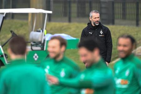 Rose nimmt Spieler in Schutz: 