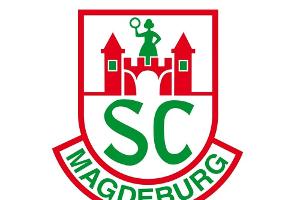 Handball: Magdeburg baut seine Serie aus