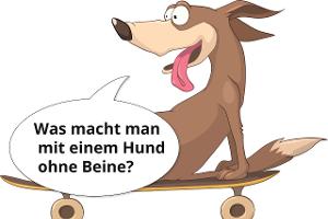 Hunde-Witze-collage.jpg