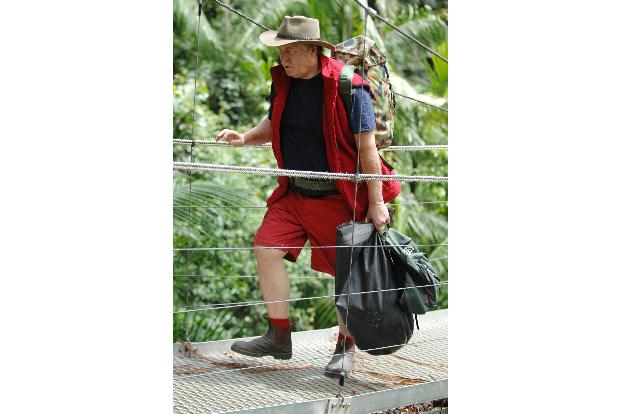 dschungelcamp ich bin ein star holt mich hier raus 2013 rtl geheimnisse joey heindle olivia jones patrick nuo allegra curtis