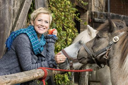 tv highlights 2013 sendungen rtl bauer sucht frau fernsehen inka bause