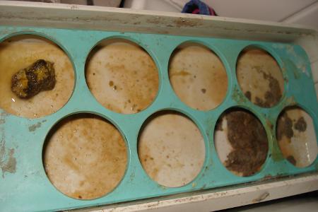 Lebensmittelkontrolle