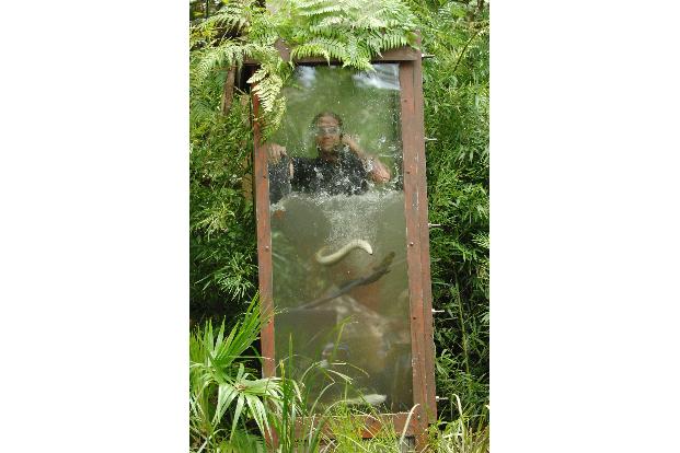 Die erste Telefonzelle wird geflutet mit Wasse, Aalen und Krokodilen.