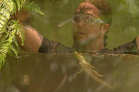 Das Wasser steigt immer höher und zu den Aalen und Krokodilen kommen auch noch Wasserspinnen hinzu.