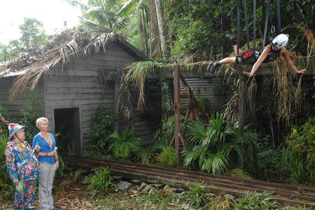 Jazzy wird in eine Hängevorrichtung eingehängt.