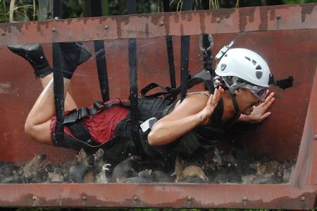 In Lore Nummer Vier machen 150 Ratten der Sängerin mächtig Angst - und sie ergattert keinen Stern.