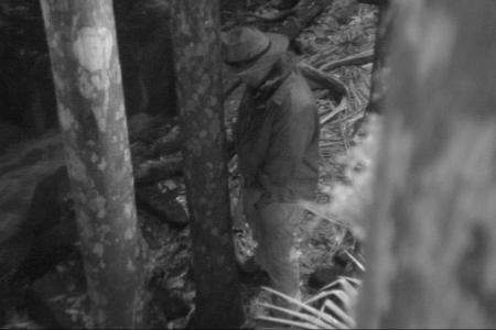 Auch Martin entpuppt sich als Wild-Pinkler.