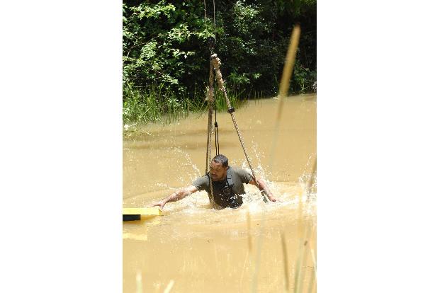 Ailton schafft es insgesamt 5 Sterne zu ergattern.
