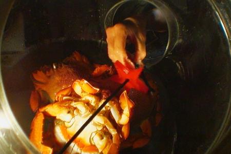 Den ersten Stern muss Brigitte Nielsen ohne zu gucken mit ihrer Hand zwischen Riesenkrabben ertasten.