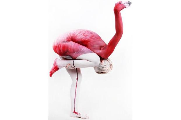 optische täuschungen