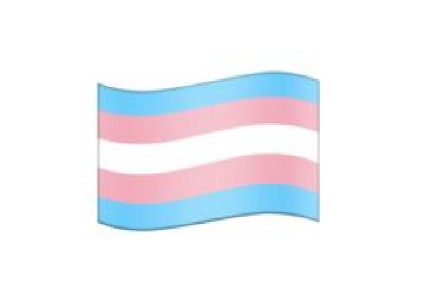 Transgender-Flagge.JPG