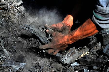 Holzkohle_ZUMA Press.jpg