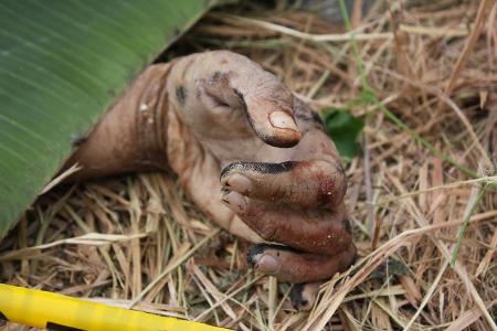 Body famrer_Xinhua.jpg