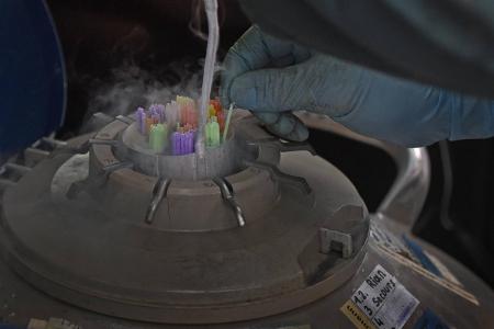 kuhbesamer_Markus van Offern.jpg